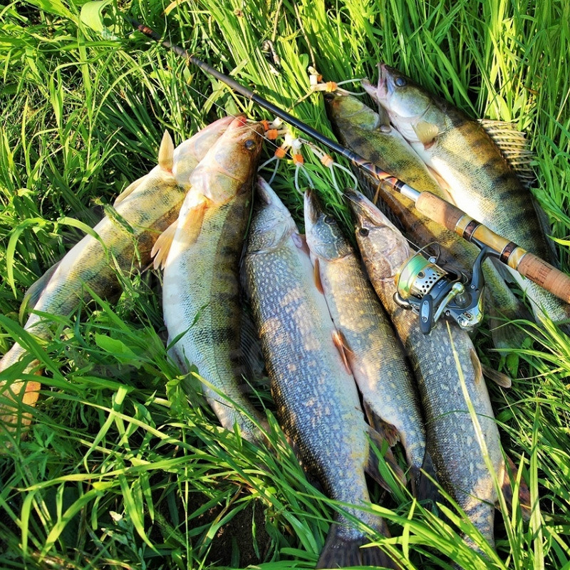 Рыбачка из Карелии